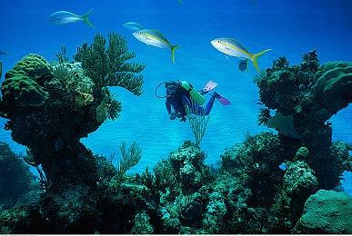 演员简历泄露大量未公布新作 包括《皇牌空战8》